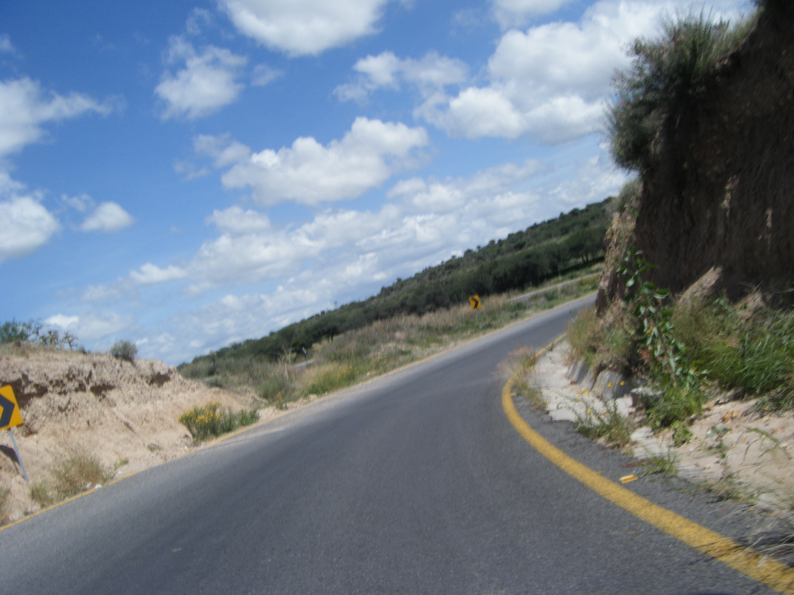 cruva carretera