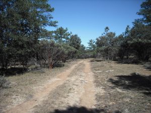 Caminos como este son de mis preferidos