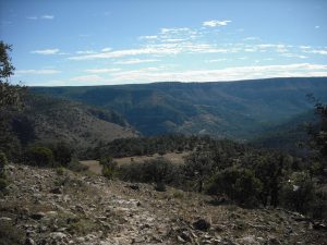 Bajada El Aguijón (el camino que sube al fondo lo hace desde Tres Molinos)