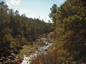 Casi llegando a Arroyo del Agua