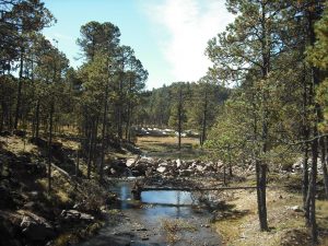 Arroyo del agua