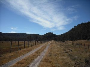 Terracería El Salto - Mexiquillo