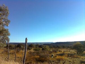 Un paisaje casi llegando a Durango