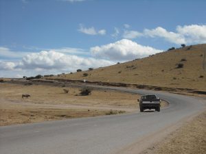 Ingenuo de mi que supuse que serían las únicas curvas de ese tipo en el camino...