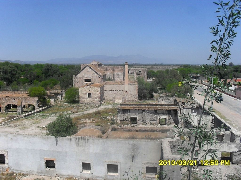 SDC13267