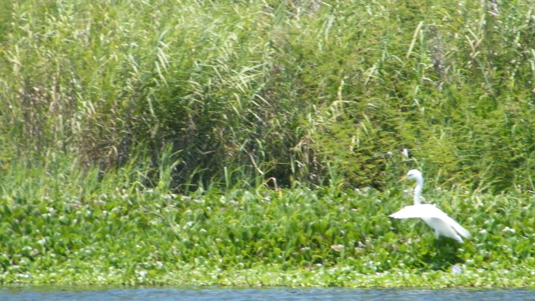 Mas de lo que doy Mas de lo que doy