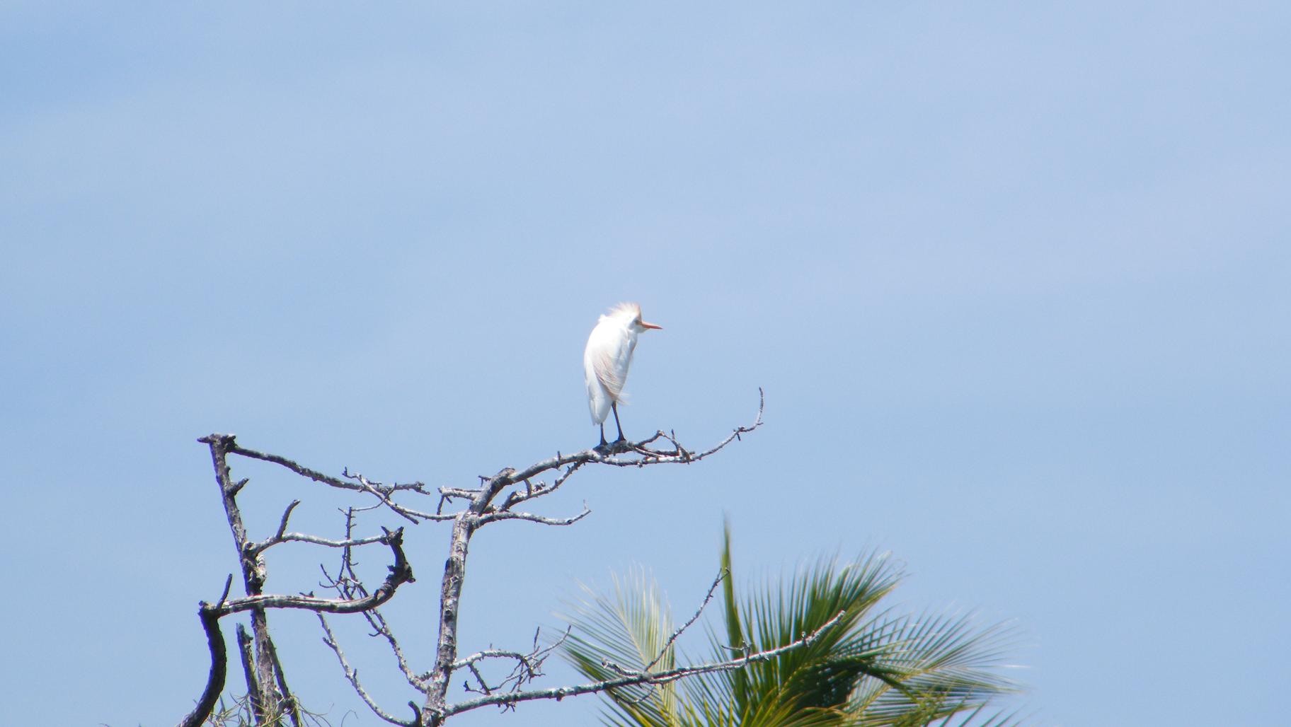 Mas de lo que tengo Mas de lo que tengo