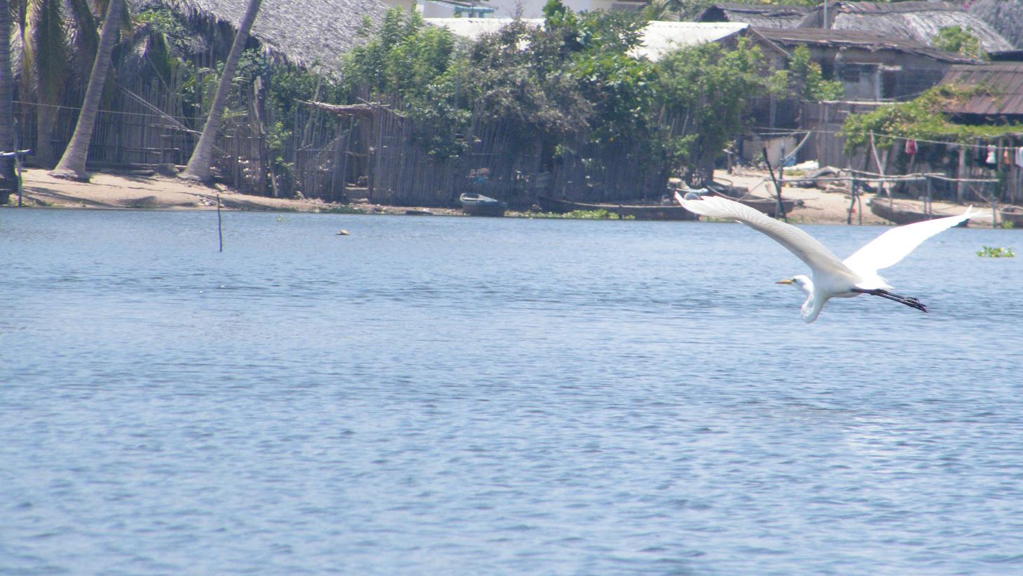 Plan de Vuelo Plan de Vuelo