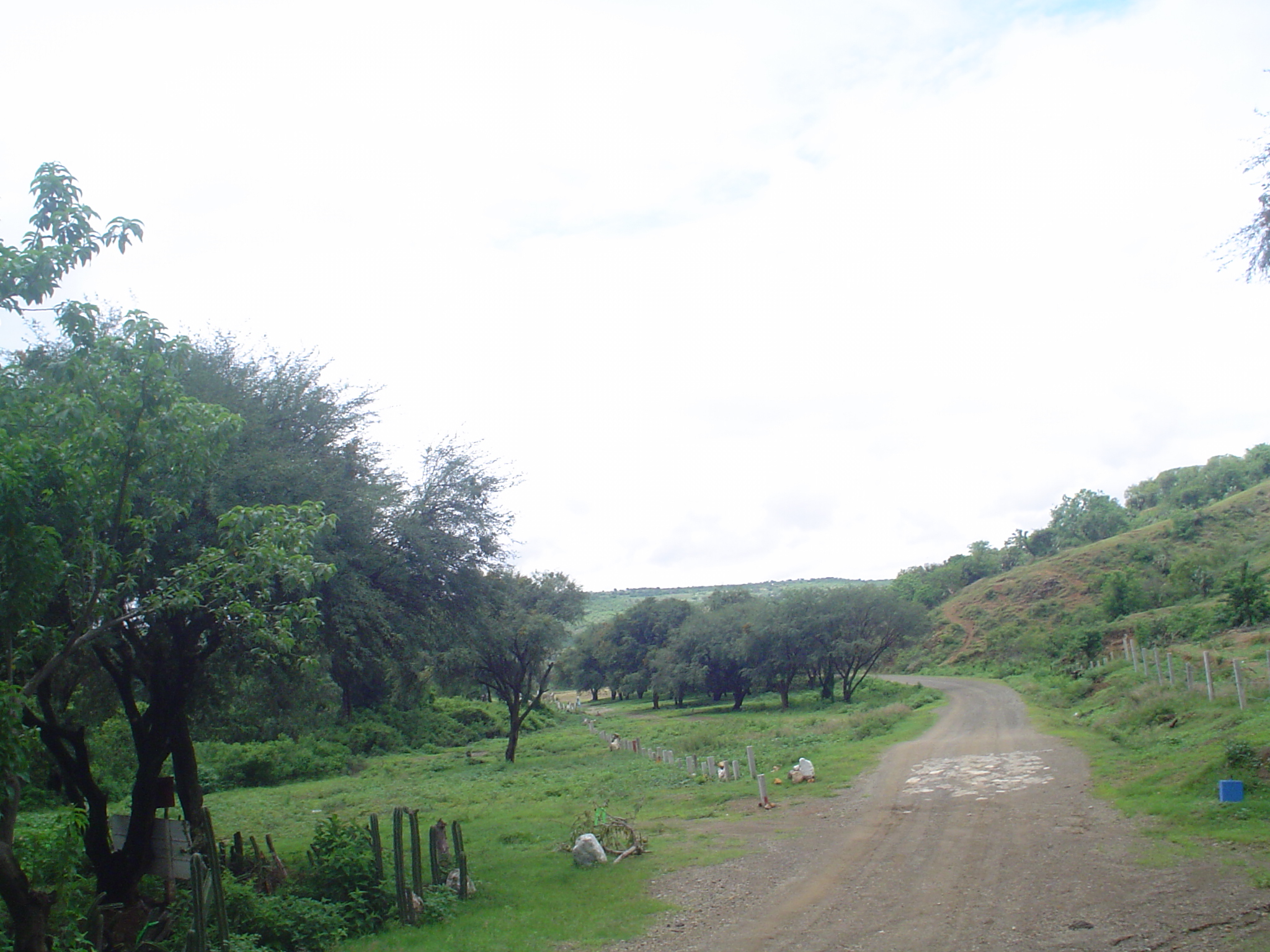 DSC00528