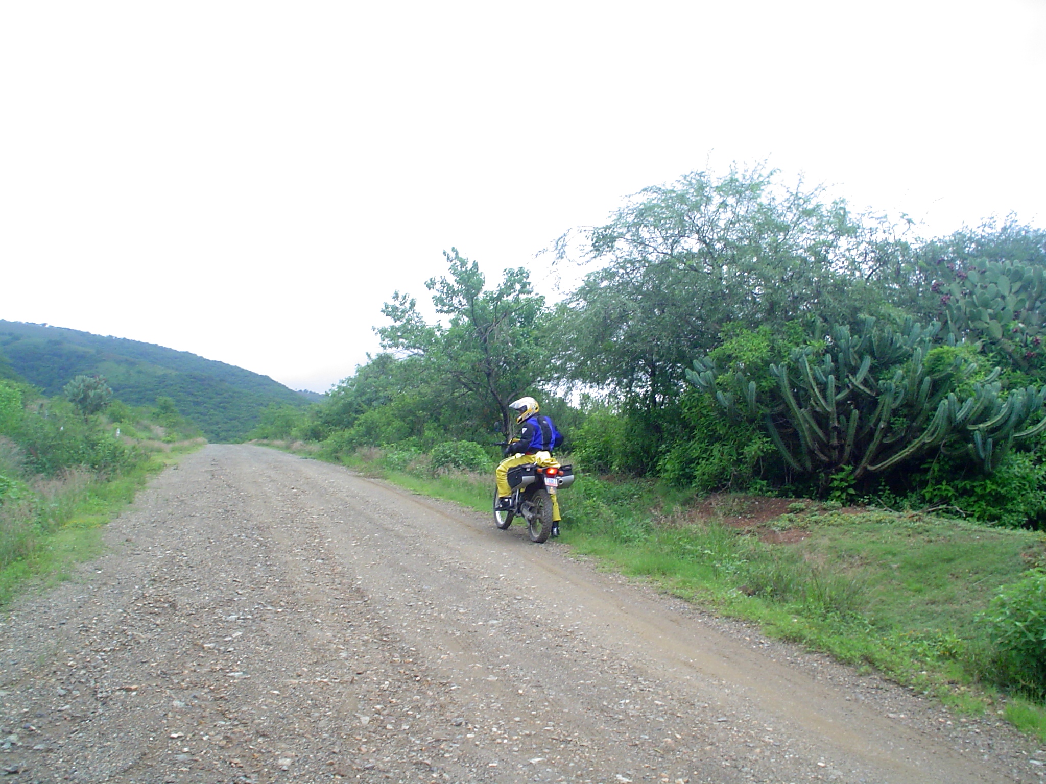 DSC00529
