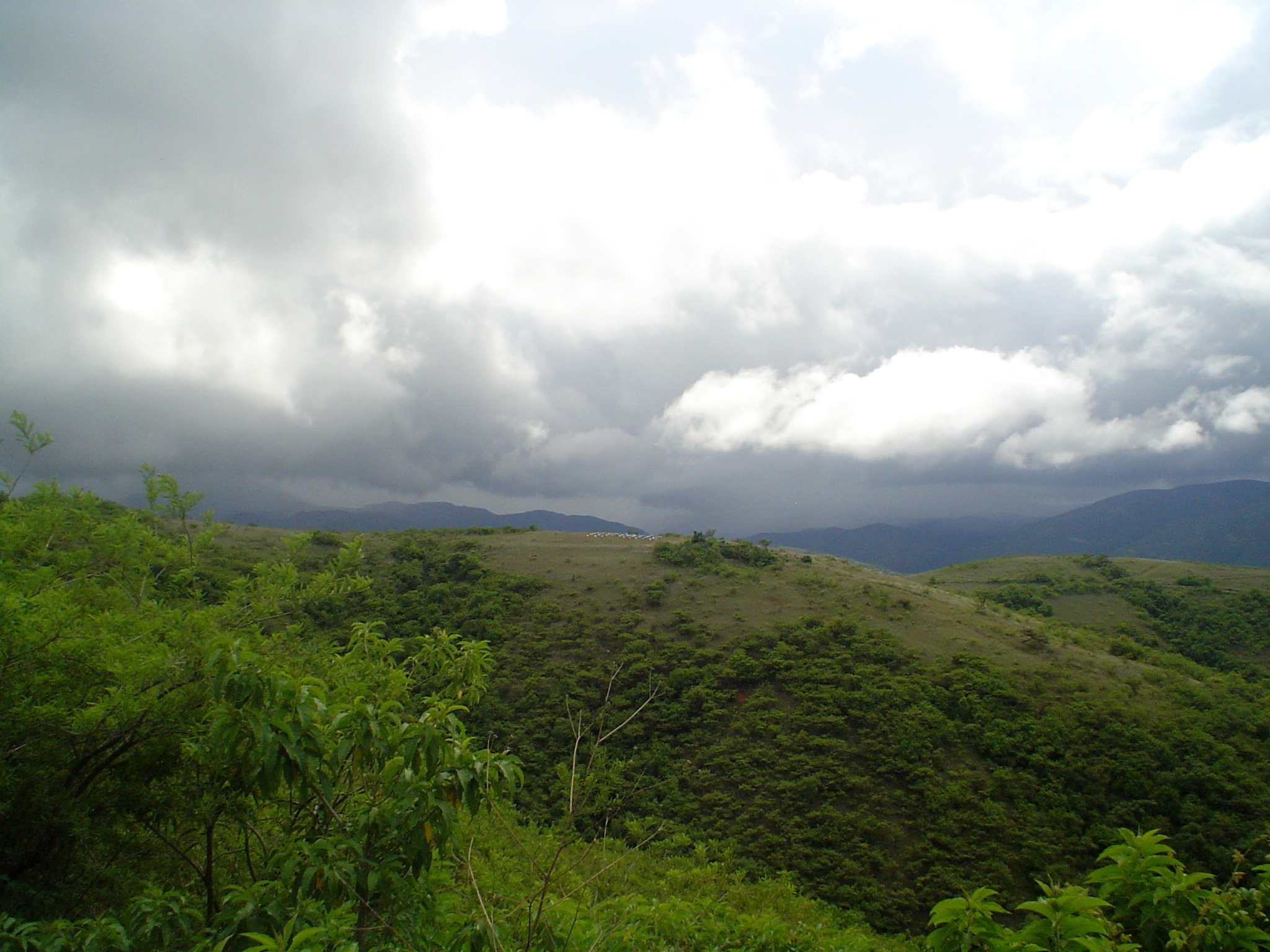 DSC00537