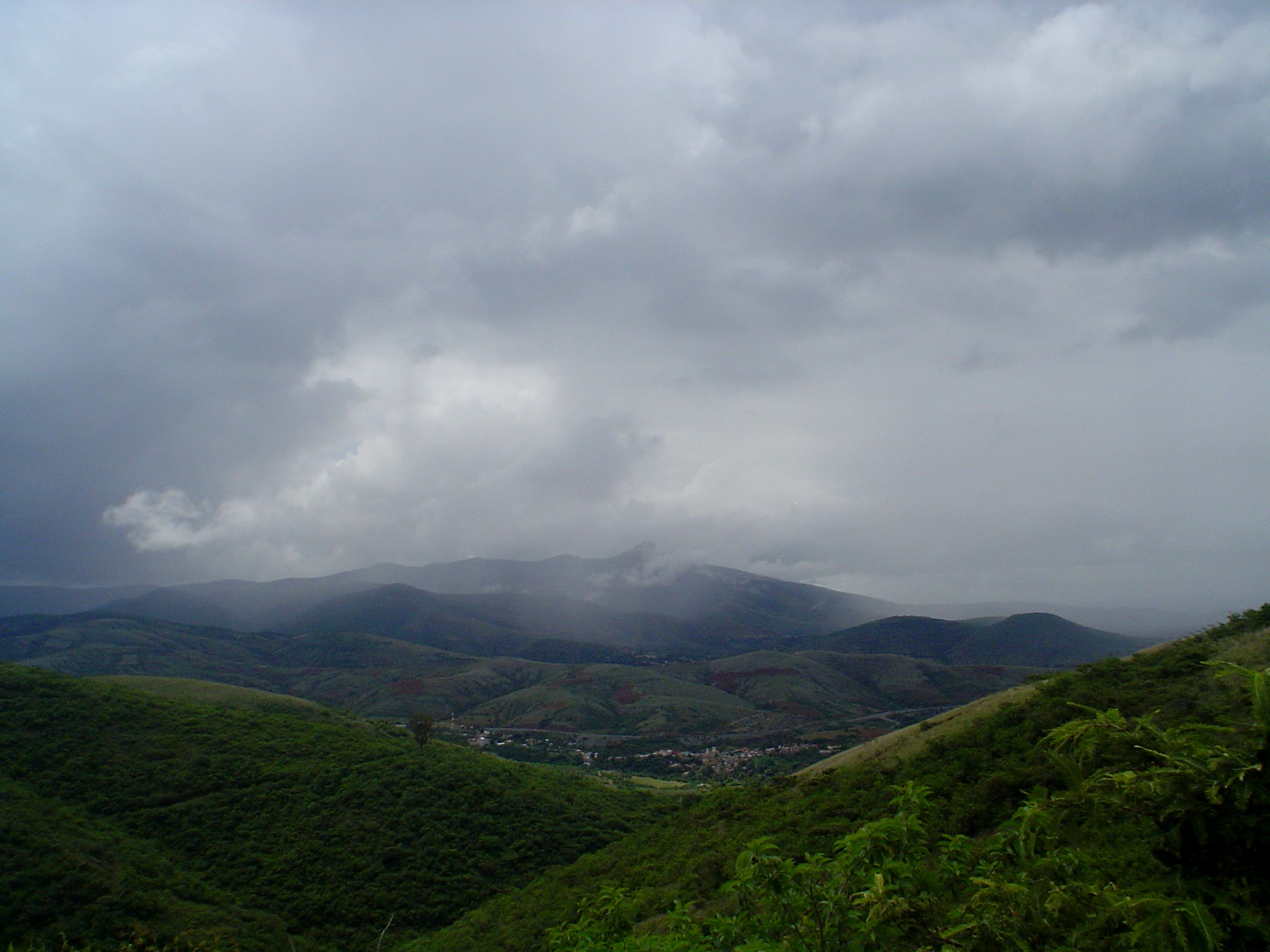 DSC00538