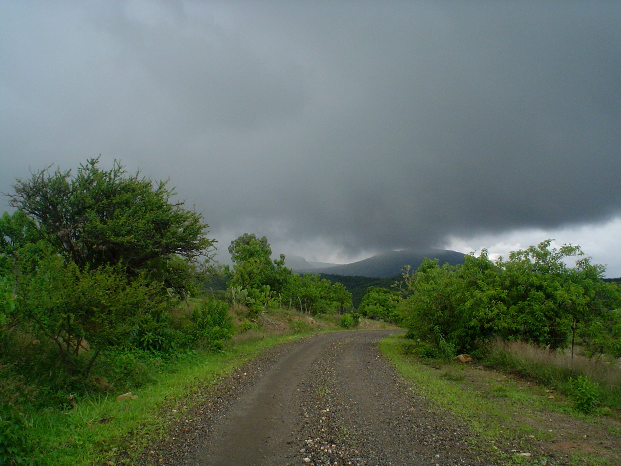 DSC00541