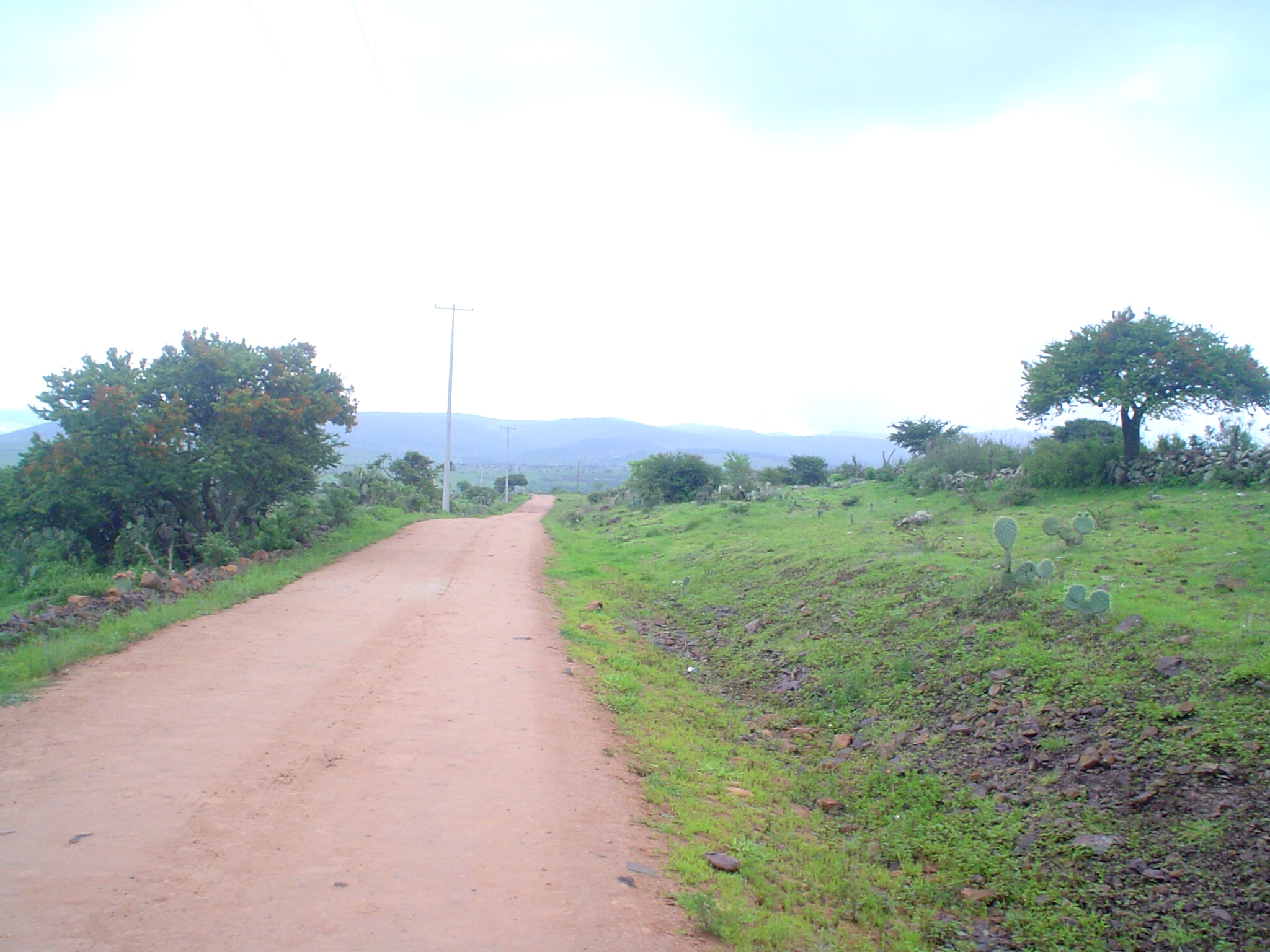 DSC00568