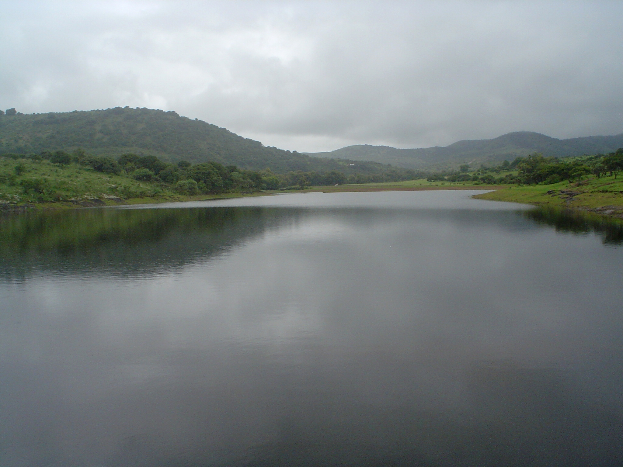 DSC00595