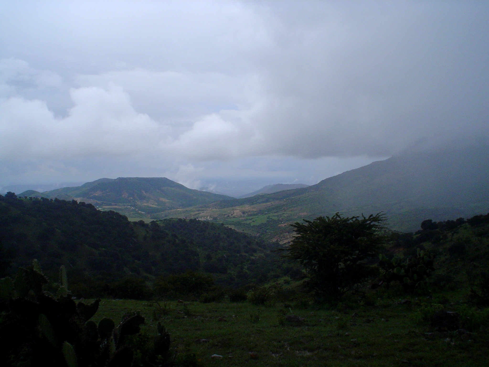 DSC00597
