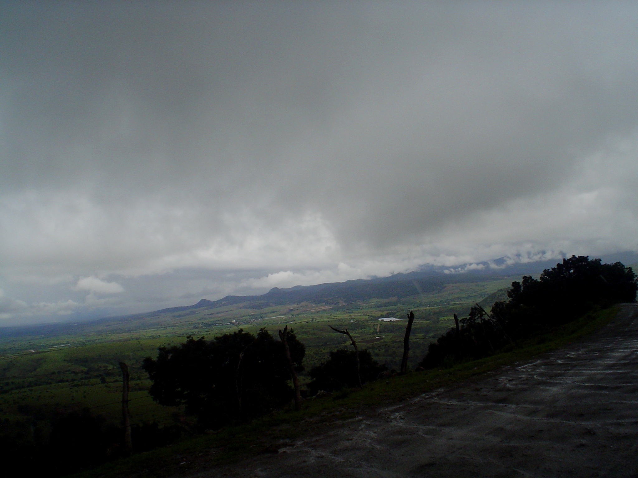 DSC00603
