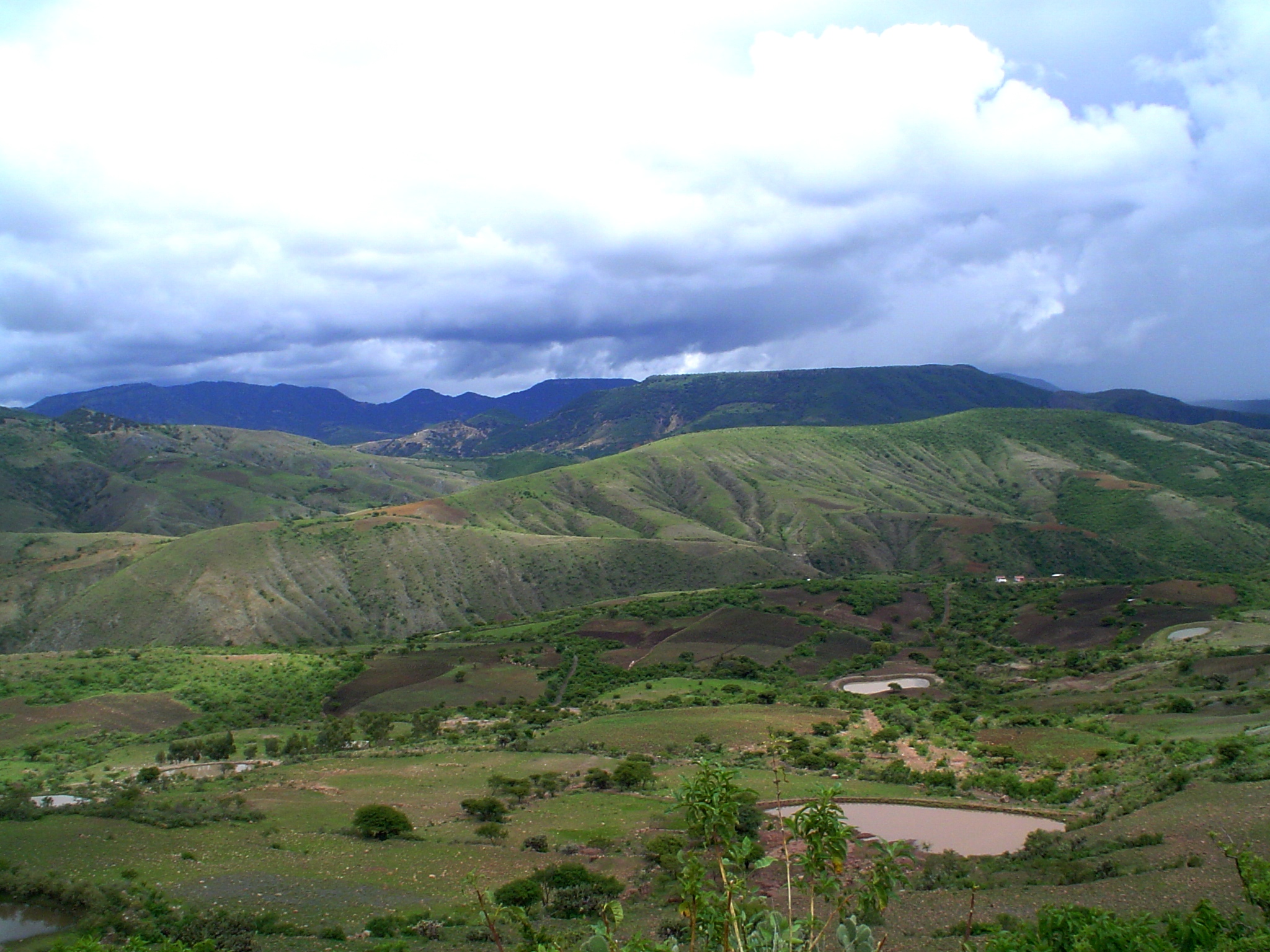 DSC00608