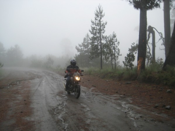 Tierra Caliente SD8 586
