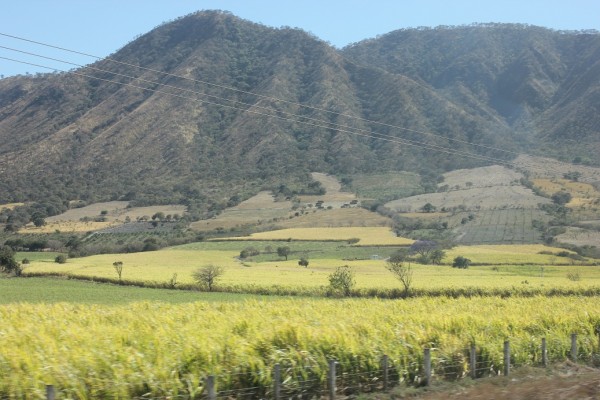 Detras de los cerros me veras bajar