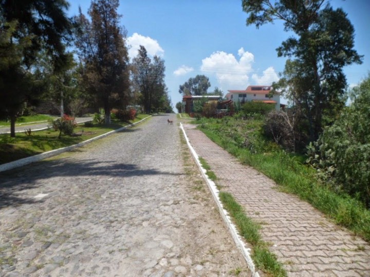image05