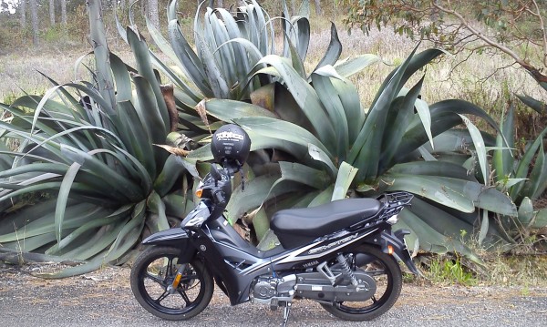 Pequeña Crypton