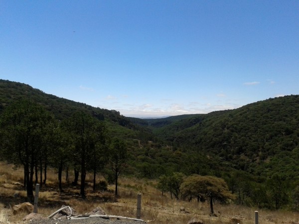 Sierra de Lobos