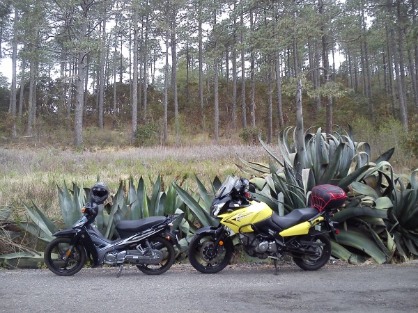 Junto a la grandota VStrom se ve chiquitita mi Crypton