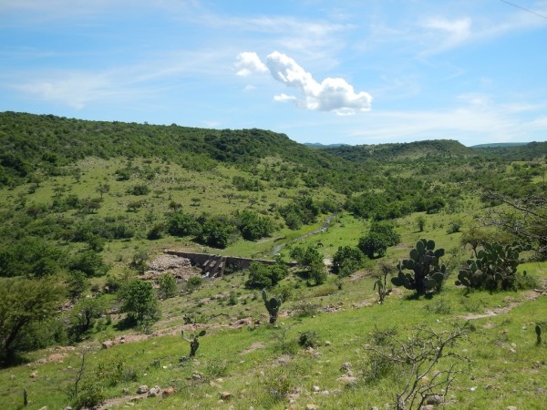 Algún lugar de Irapuato