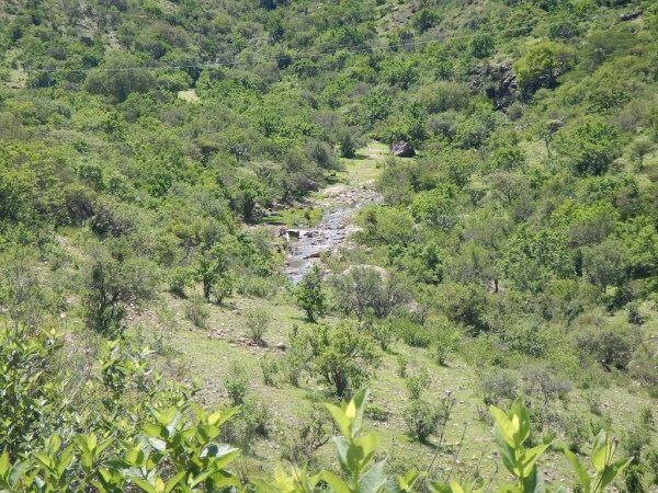 Paisajitos