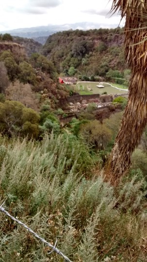 PRISMAS (4)