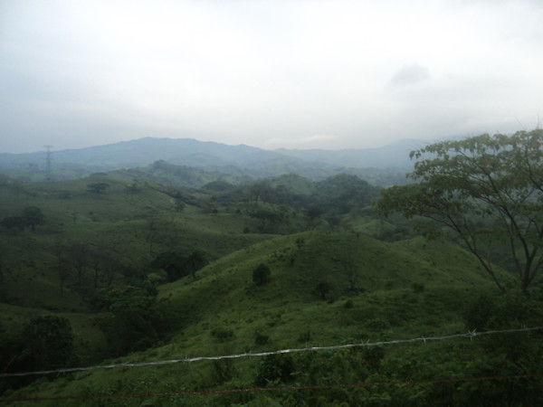 Verde y más verde…