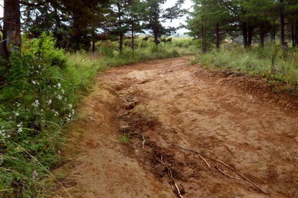 Analizando el camino