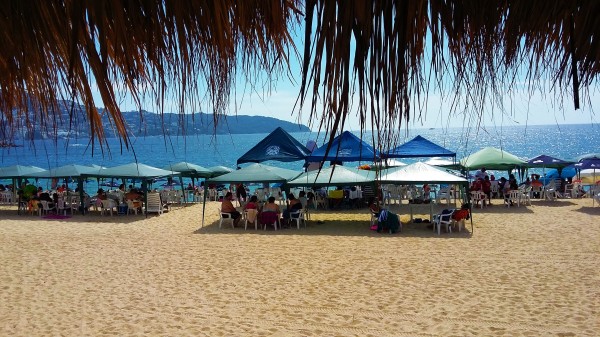 Por fin después de años, de regreso a las Playas de Acapulco