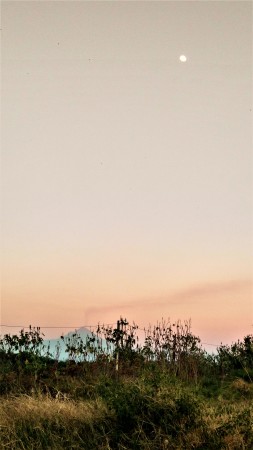 Don Goyo desde Morelos y la Luna en lo alto