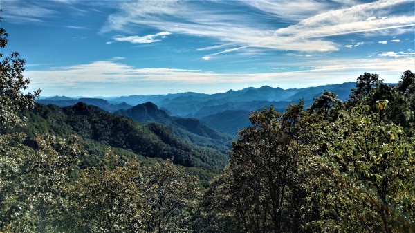 La vista hacia un lado de la carretera