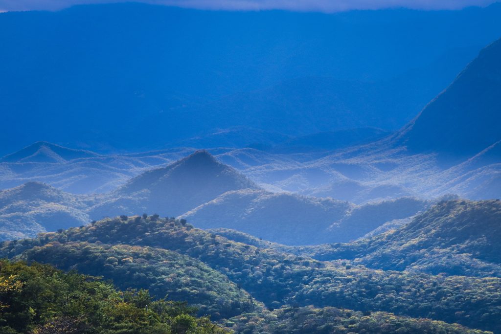 Esto es Oaxaca